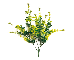 Matas con Frutos y Pimpollos